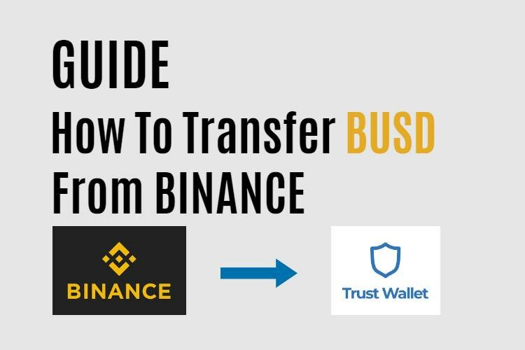 Withdraw BUSD from Binance to Trust Wallet