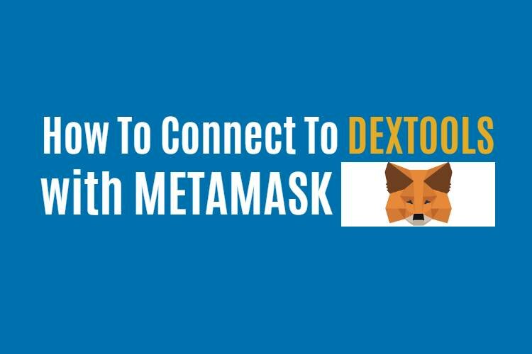 How to connect MetaMask to DexTools